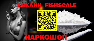 стафф Кингисепп