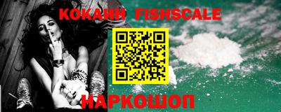стафф Кингисепп