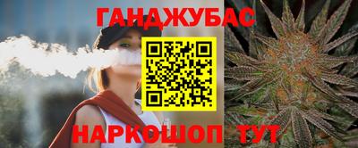 крисы Кинель