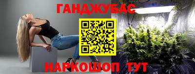 стафф Кингисепп