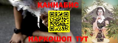 стафф Кингисепп