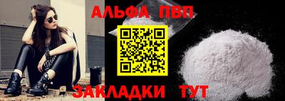стафф Кингисепп
