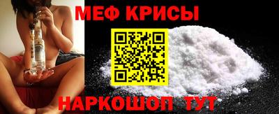 стафф Кингисепп