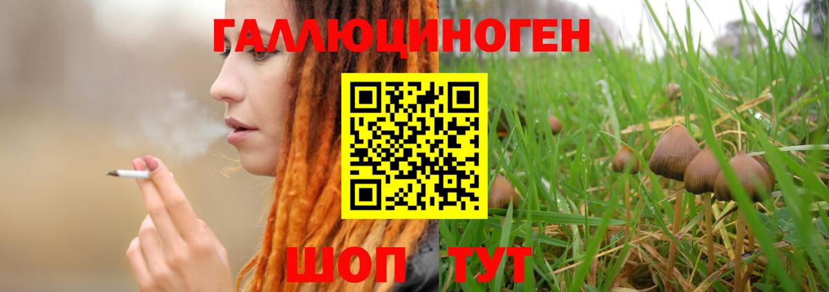 Кувандык  Галлюциногенные грибы MAGIC MUSHROOMS  Псилоцибиновые грибы мухоморы  Вход с VPN 